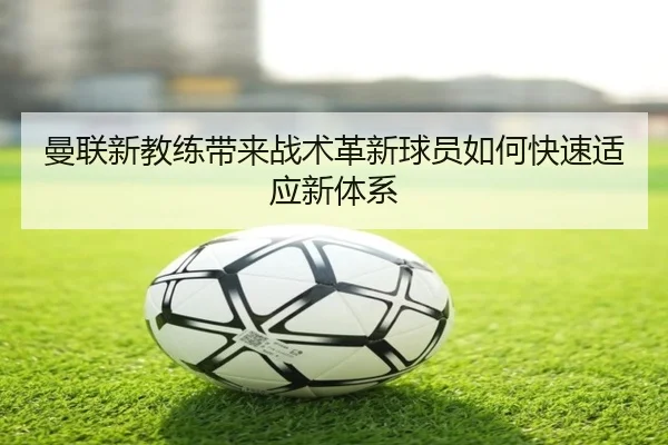 img_1793339652675_101_1_787.jpg